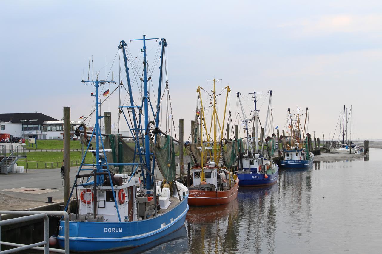 Ferienhaus Vogel - Dorum Neufeld - Nordsee Dış mekan fotoğraf